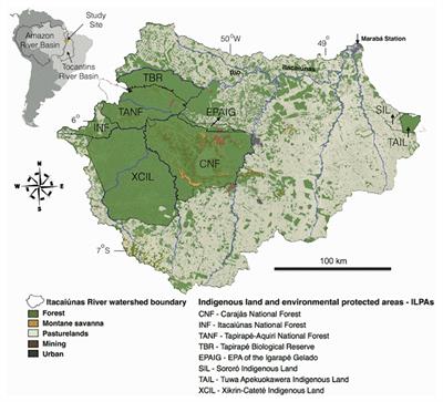 Response of Water Balance Components to Changes in Soil Use and Vegetation Cover Over Three Decades in the Eastern Amazon